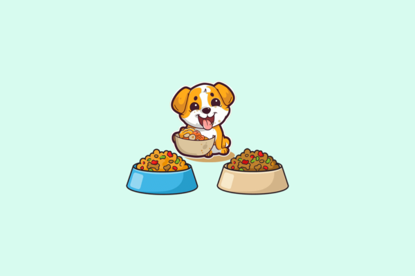 Latest Product: Dog Food