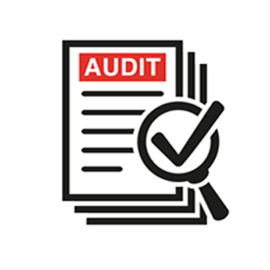 Internal Audit SEO