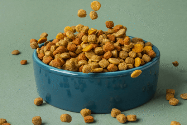 Related Product: Dog Food Philippines